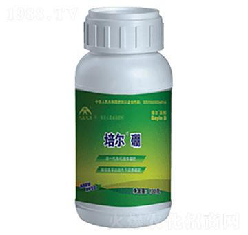 培爾流體硼-加農和信