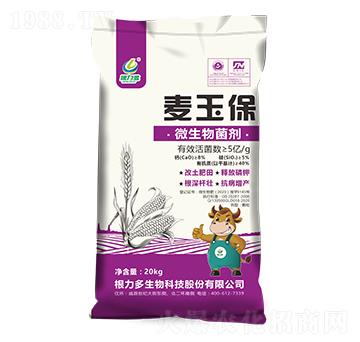 ΢�������-����-������