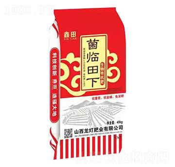 �����ЙC(j��)��-���R����-�����ʘI(y��)