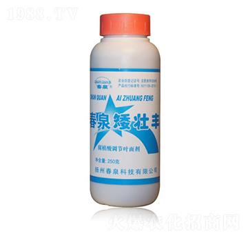 �����S-��Ȫ