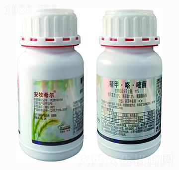 11%���ס������׾�-�d���r(n��ng)�I(y��)