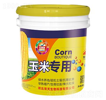 ���׌���-��������