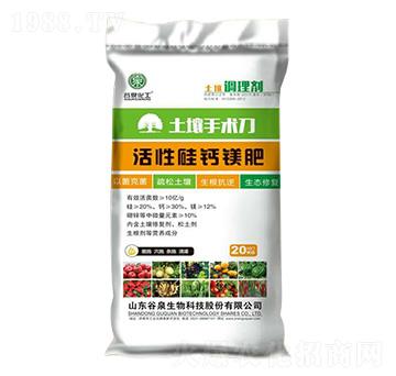 ���Թ��}�V��-�������g