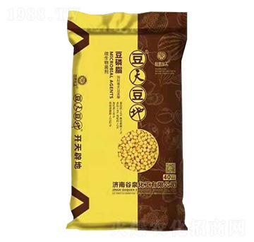 ����֬-���춹��-��Ȫ