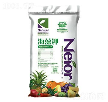 �����-Ħ���-��Ȫ��