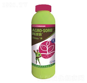 ���ٲ��-�S������