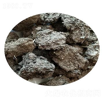 鵪鶉糞-圣田生物