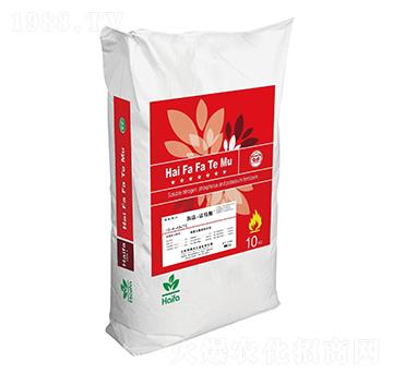 ��}��13-4-43+TE-����ķ-����