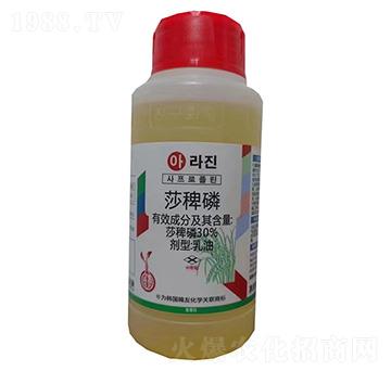 30%ɯ����-�n�ѻ��W