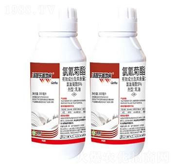 5%氯氰菊酯乳油-蓋地虎-湯普樂(lè)