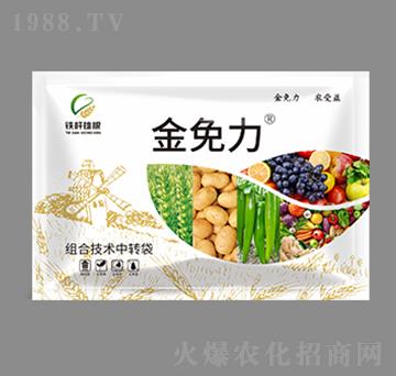 �ײͷ�-������-�F�U�۸�