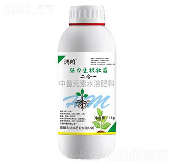 �����������磨����һ��-���Q