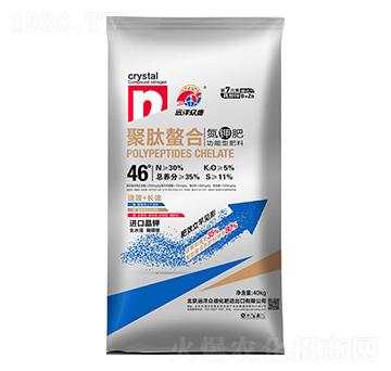 �������ϵ�⛹����ͷ���30-0-5-�h�󱊵�