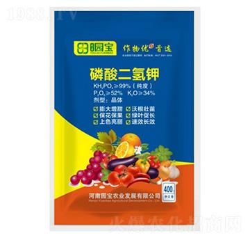 磷酸二氫鉀-園寶農(nóng)業(yè)