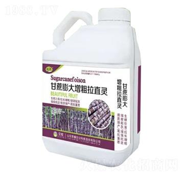 5kgͰ�bҺ��-�������������ֱ�`-�sҫ�r(n��ng)�I(y��)