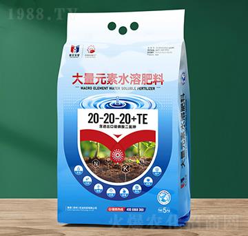5kg大量元素水溶肥料20-20-20+TE-賽美農業(yè)