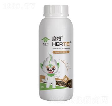 ��̼�ЙC(j��)����ԭҺ-Ħ��-�̠���