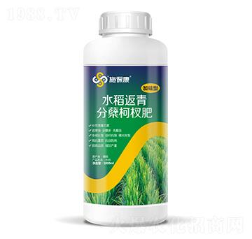 1000ml加硅型水稻返青分蘗柯杈肥-施??? />
</div>
</div>
<style type=