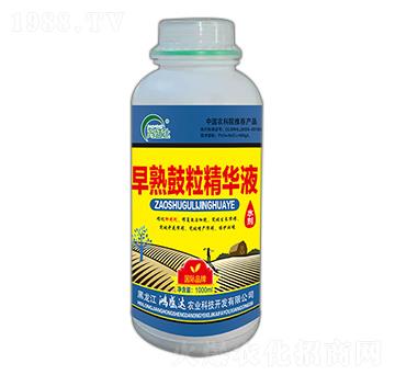 ����������AҺ-��ʢ�_(d��)