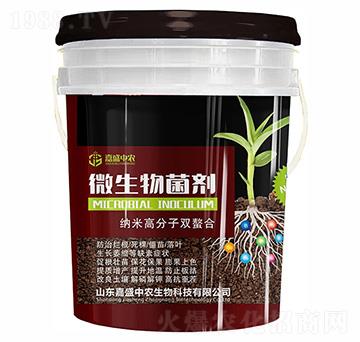 納米高分子雙螯合微生物菌劑-嘉盛中農