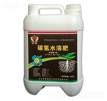 碳?xì)渌芊剩ㄋ躀型）-碳?xì)渖? />
                                </div>
                            </div>
                            
                            <style type=