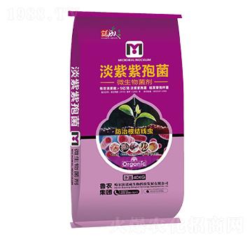 �������߾�-�Z�ɑ�(zh��n)��-���r���F