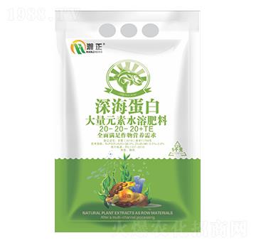 �����20-20-20+TE-������r