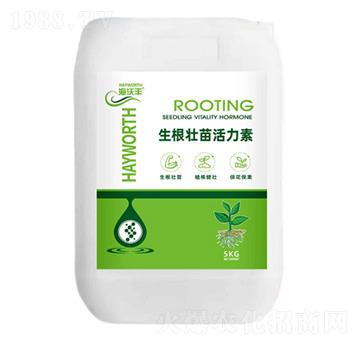 �������������-�����S-��������