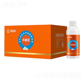 含氨基酸水溶肥料-禾喜寶-圣谷-可伊農業(yè)