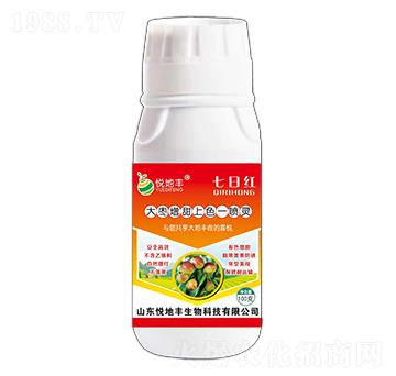 ��������ɫһ���`-���ռt-�����S