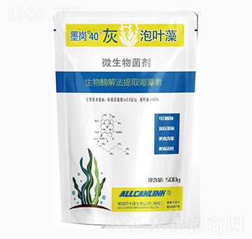 微生物菌劑-墨崗40灰泡葉藻-杜斯農(nóng)