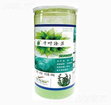 千葉海藻-杜斯農(nóng)