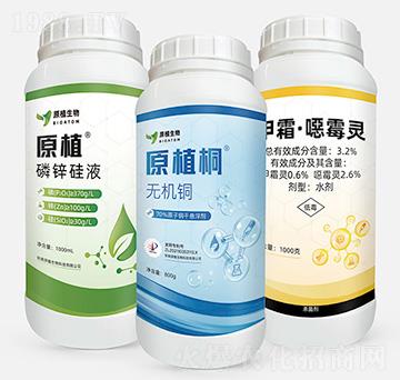 無機銅+磷鋅硅液+甲霜·噁霉靈-根無憂-原植生物
