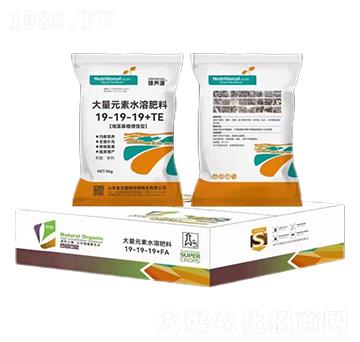 ���������Ч�ʹ���Ԫ��ˮ�ܷ���19-19-19-���B(y��ng)Դ-�����_(d��)����