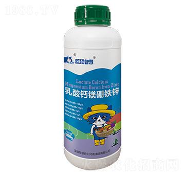 乳酸鈣鎂硼鐵鋅-藍(lán)貓智慧