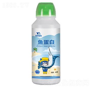 魚蛋白-藍貓智慧