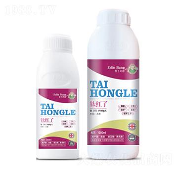 ⁼t��-�۶�����