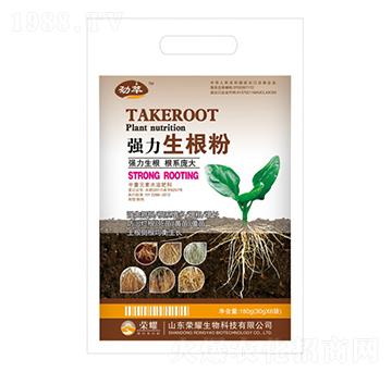 ����������-����-�sҫ�r(n��ng)�I(y��)