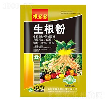 ������-�sҫ�r(n��ng)�I(y��)