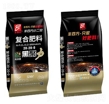 �ͺϷ���20-20-0-�ھ���-�S�ķ�