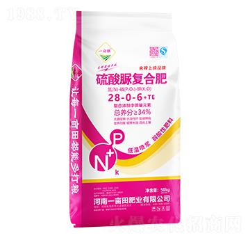 �������(f��)�Ϸ���28-0-6+TE-һ���Z-һ����ʘI(y��)