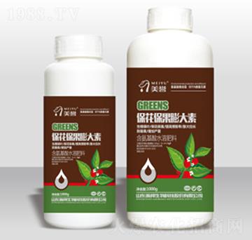 �������������-嫰�����