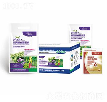 ���(l��i)���~���L(zh��ng)��-嫰�����