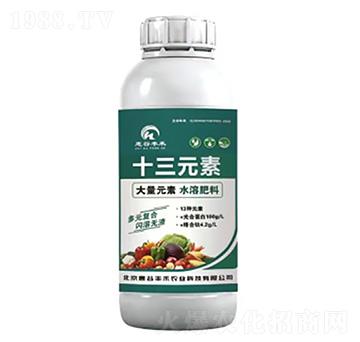 ʮ��Ԫ��-�ݹ��S��