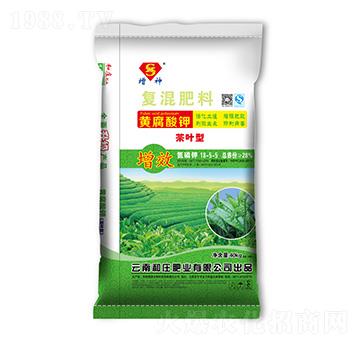 ���~�͏�(f��)�����18-5-5-����-���f�ʘI(y��)