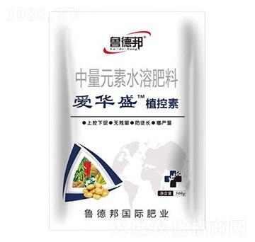 ����Ԫ��ˮ�ܷ���-���Aʢ��ֲ����-���°�