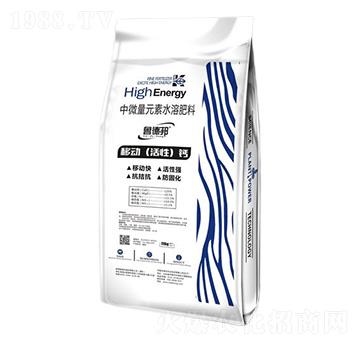 中微量元素水溶肥料-移動活性鈣-魯?shù)掳? />
                                </div>
                            </div>
                            
                            <style type=