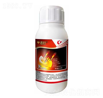 440克/升氯氰·丙溴磷-透打-科利隆生化