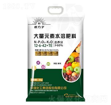 ����Ԫ��ˮ�ܷ���12-6-42+TE-�÷���-�A���������F