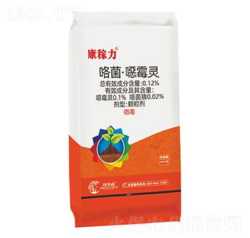 ���������ڲ���-������-����ɭ